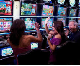 8868网页登录入口最新版